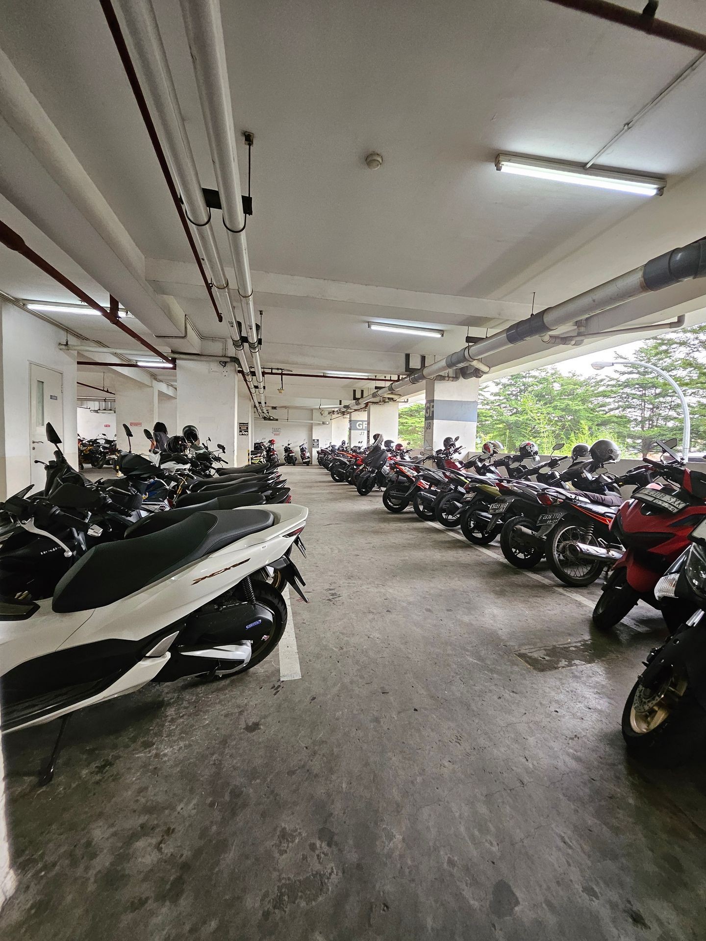 Indoor parking area filled with multiple parked motorcycles lined up neatly, with fluorescent lights on the ceiling.